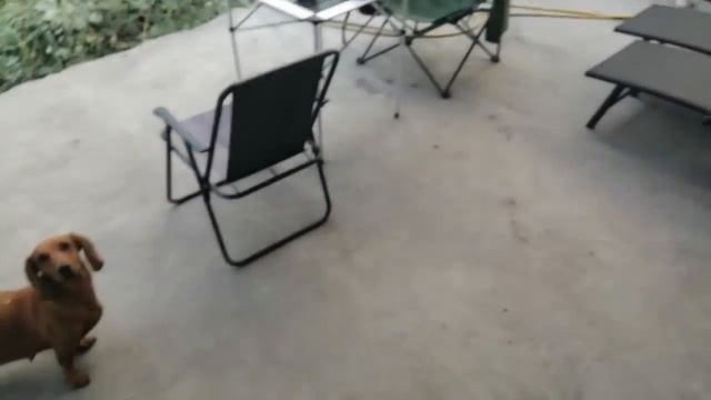 Строительные Параллели