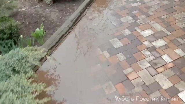 Удаление мха с брусчатки в Краснодаре - Поле Чудес смотреть онлайн