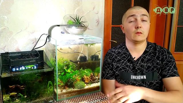 Для тех кто просит купить рыбок и отправить! смотреть онлайн