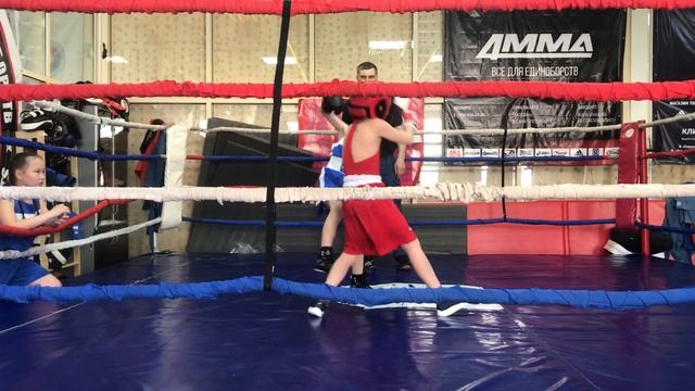 Турнир по шахбоксу в в СПБ kea-fighting смотреть онлайн