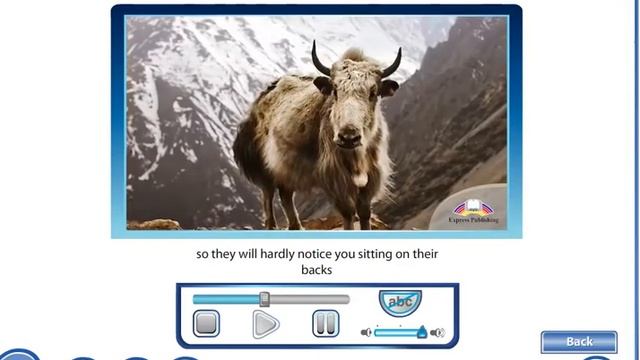 Excel 9th grade. Module 8. Travel and Tourism. Ethical animal tourism смотреть онлайн