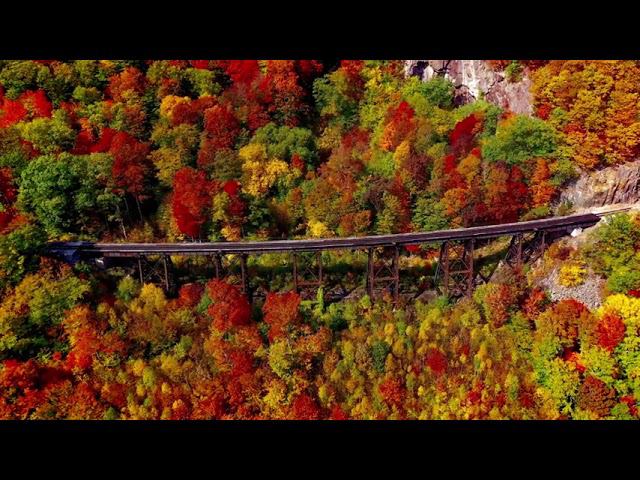 Contemplative Cinematic Background Music For Videos   Autumn Steps Contemplative