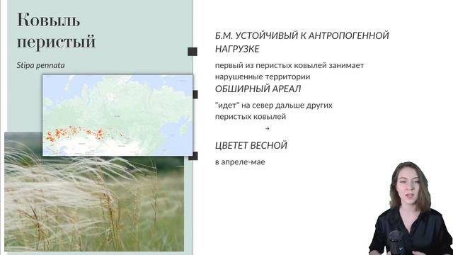 Ковыль: редкий и необычный смотреть онлайн