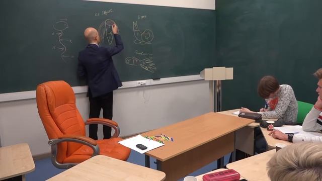 34. Дыхание и выделение моллюсков смотреть онлайн