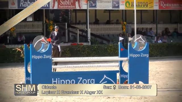 Cidante смотреть онлайн