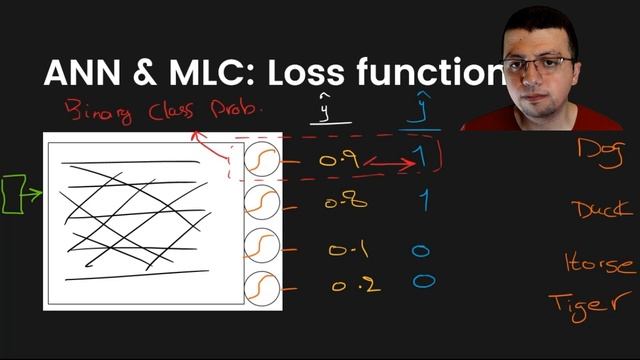 Multi Label Classification and Loss Function смотреть онлайн