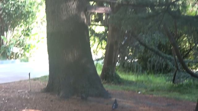 1 сентября 2023 года Хроника отдыха в санатории Южное Взморье Адлерский район Сочи Holidays In Soch