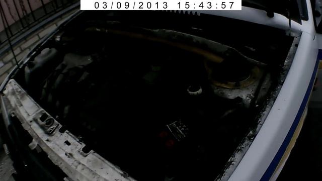 Брошенная патрулька смотреть онлайн