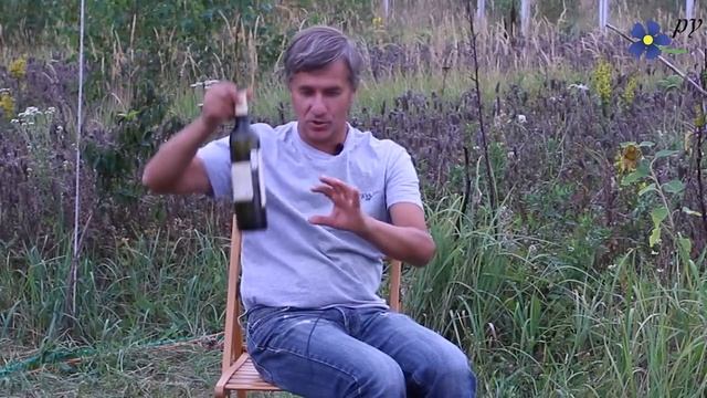 Ловушки и травилки для ос просто и дешево смотреть онлайн