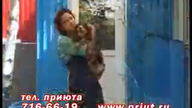 Звериная компания 25 мая 2007 года смотреть онлайн