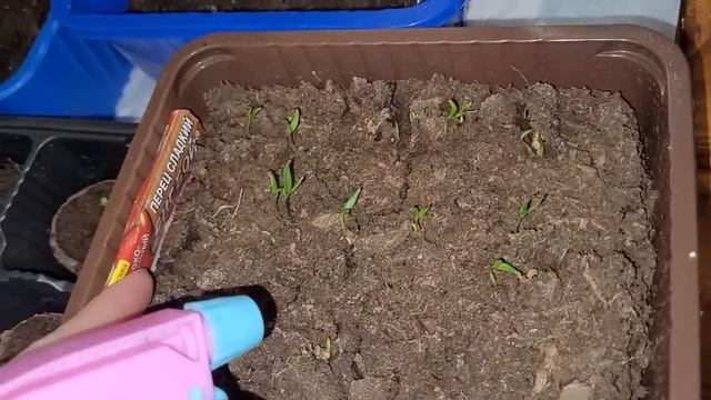 УЖАС Идём пешком в роддом  Переезд состоялся