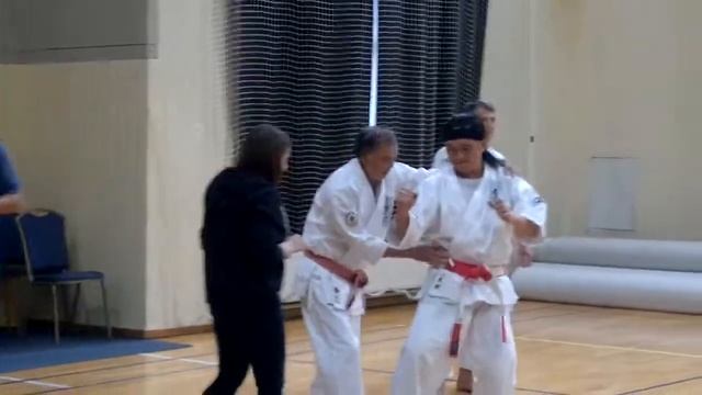 T.Hokama, Ken Ogura семинар по каратэ Годзю-рю смотреть онлайн