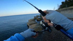 Черноморские груперы на пилькеры. Тест Xesta Runway SRF 10.3M. Shore Jigging на Черном море🎣
