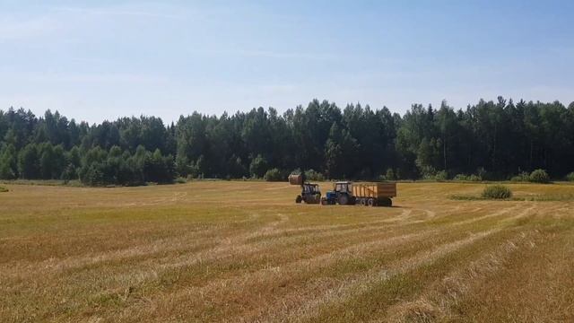 В с/х НИКОГДА ВСЕХ ДЕЛ НЕ СДЕЛАТЬ.+силосная яма. Строим загон КРС. Убираем рулоны сена. Возим опилк смотреть онлайн