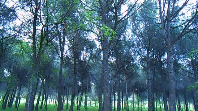 Video testing смотреть онлайн