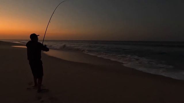 FIRST CAST ROOSTERFISH | PEZ GALLO смотреть онлайн