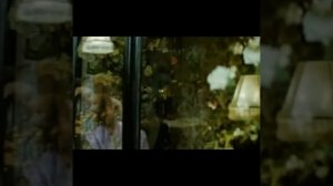 Суета Сует, 1979 год