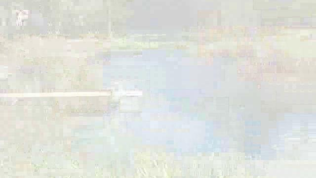 Романс. Вино в бокале.wmv смотреть онлайн