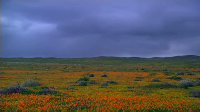 Христианское поклонение. Сборник №61 смотреть онлайн
