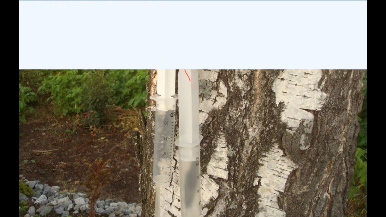 Гидроуровень своими руками из шприцов смотреть онлайн