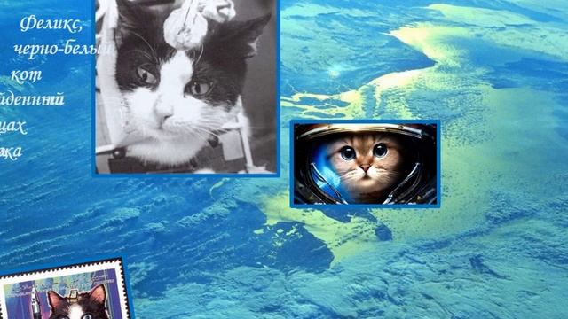 Слайд-шоу "Животные и растения в космосе" смотреть онлайн