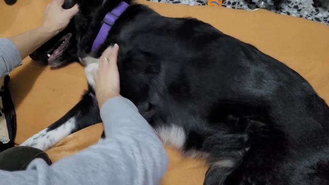 Масаж перед сном - святе діло . смотреть онлайн