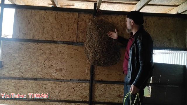 Целый Тюк Сена, на сколько хватит в Рептухе жеребцу Лахибу. Лошадь, Кобыла, Туман. смотреть онлайн