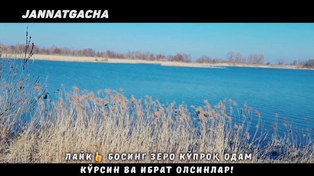 Сур чалинишдан кейинги энг муҳим холатлар°Абдуллох Домла°Abdulloh Domla°Ilmnuri