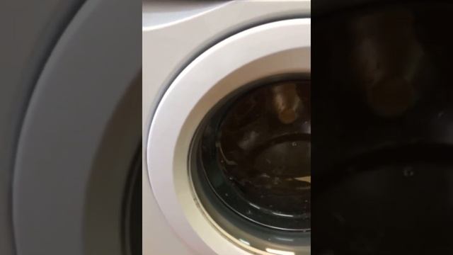 Стиральная машина Indesit WISN 82 смотреть онлайн