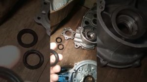 Сальники - Тула, Муравей, ТМЗ