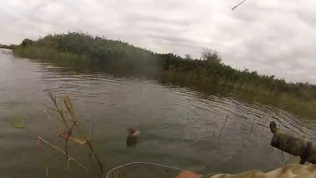 щука на Карповке смотреть онлайн