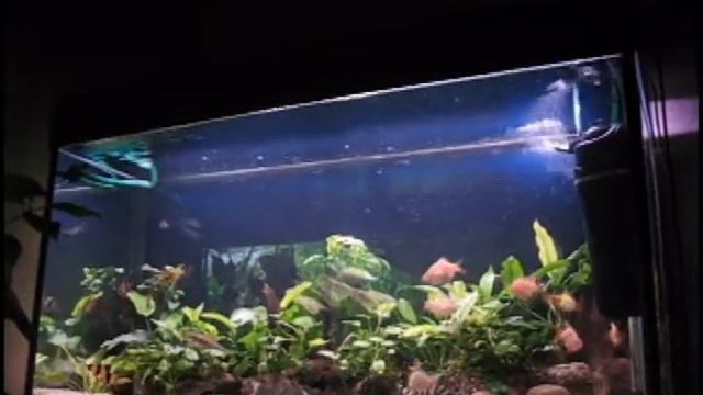 клоуны и другие.avi