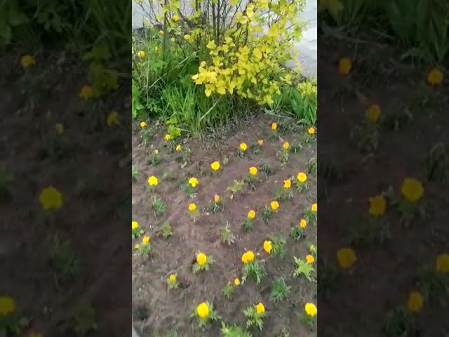 23 мая 2022 г. смотреть онлайн