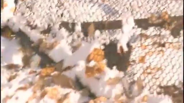 Сияй безумный алмаз!.wmv смотреть онлайн