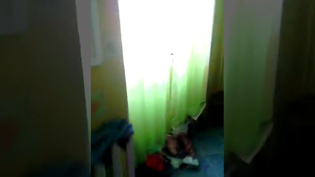 Вызыв духов он пришел!!!!египетский кот!!!! смотреть онлайн