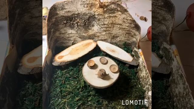 Поделка из грецких орехов, шишек и бересты в детский сад смотреть онлайн