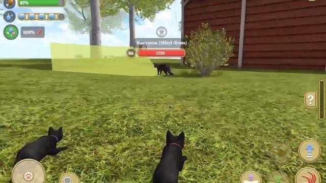 Little Cat Simulator : Kitties Family NEW Baby Adventure Games iOS - Play Fun Cute Kitten #14 смотреть онлайн