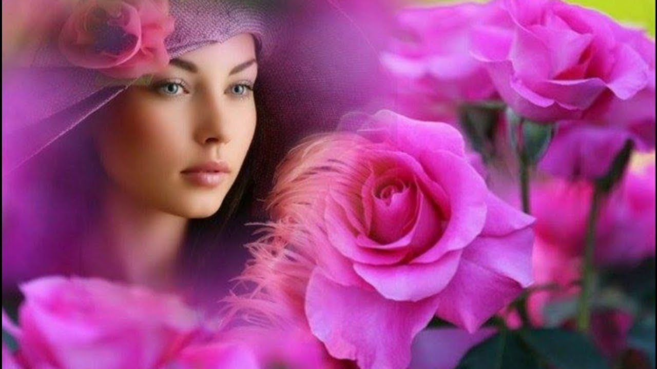 Я встретил розу ... Роза ... Песня просто Класс ...для Души ... смотреть онлайн