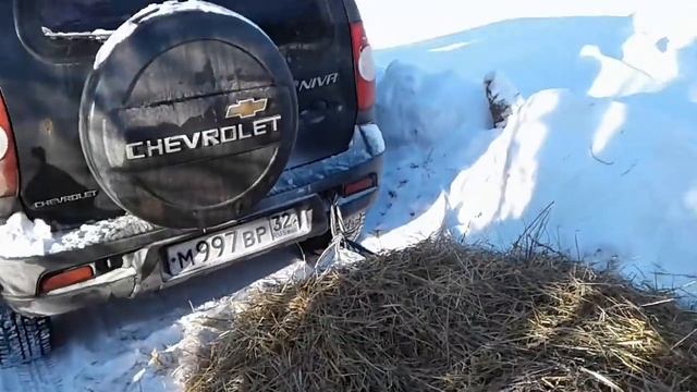 По заказу ГостелерадиооО СССР. Зимовка пчёл и пчеловодов, в Российской глубинке.