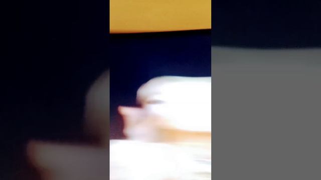 музыка называется я не могу найти китайский простите смотреть онлайн