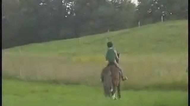 Myrddin Equestrian Centre - riding lesson programs смотреть онлайн