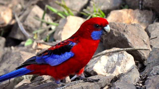 Здоровье и красота в период роста детей