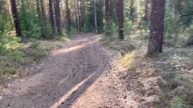 URAL ULTRA TRAIL - пробежал 100 км под Екатеринбургом смотреть онлайн