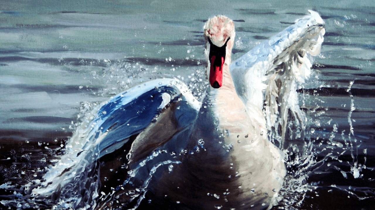 Песня птица белая смотреть онлайн