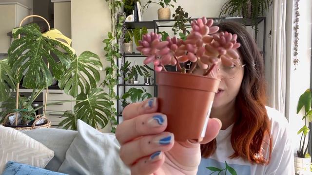 My FAVOURITE Houseplants In April 🪴 Plus, New Hair! 💁🏻♀️🍑