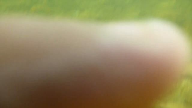 Vídeo exemplo com a Lumix DMC-FT4 de baixo de água смотреть онлайн