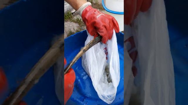 Иконопись: Символы и Таинства