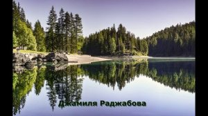 Джамиля Раджабова   [ 3 ]  Даргинские