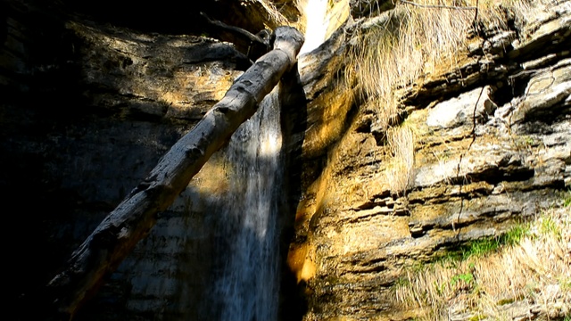 DSC_0943 смотреть онлайн