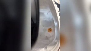 Обзор внешнего фильтра SUNSUN HW-702B, с UV стерилизатором 9W.    (24W,1000л/ч,акв. до 300л)